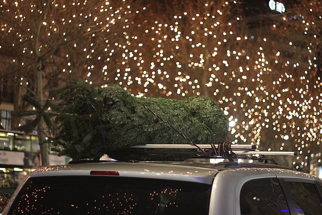 Christmas tree on top of car