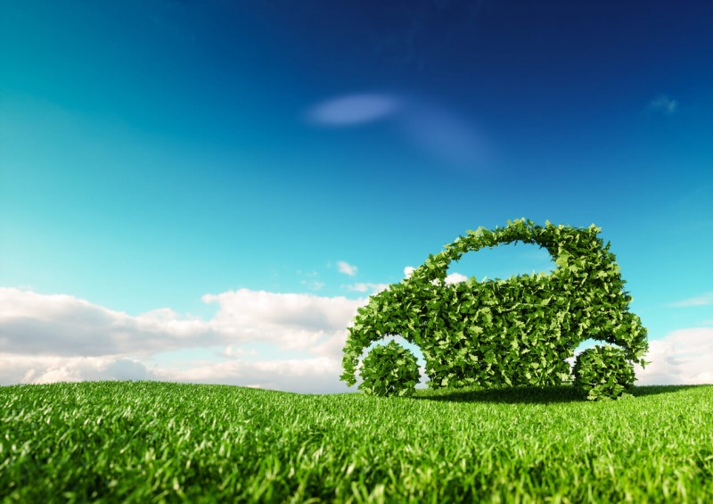 Green car made of leaves in the countryside